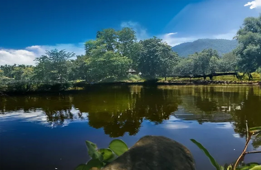 Mariumpur Eco-tourism Lake Goalpara